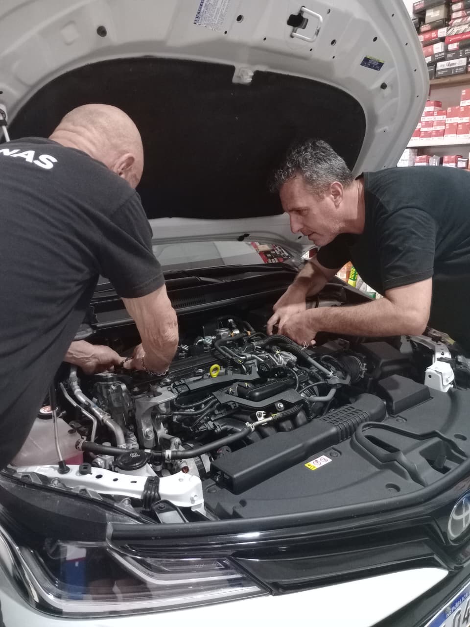 Mecánicos profesionales trabajando en el lubricentro